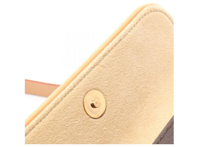 Borsa Pochette Florentine Louis Vuitton Marrone - vista 6