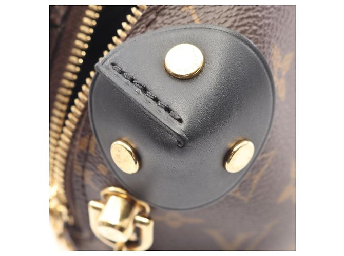 Borsa Petite Malle Souple Louis Vuitton Marrone Nero Monogramma - vista 5