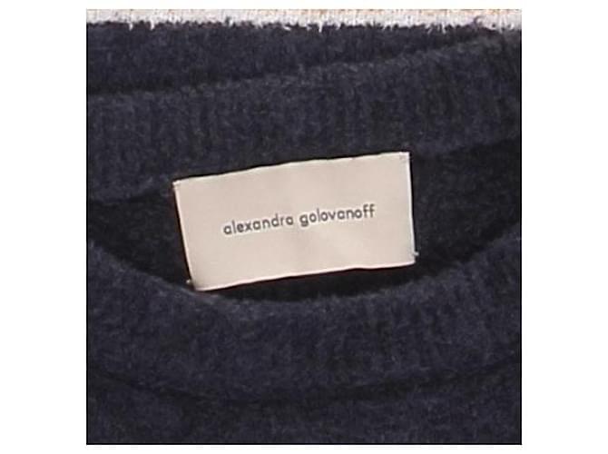 Autre Marque ALEXANDRA GOLOVANOFF Gestreifter Baumwollpullover Blau - Ansicht 5