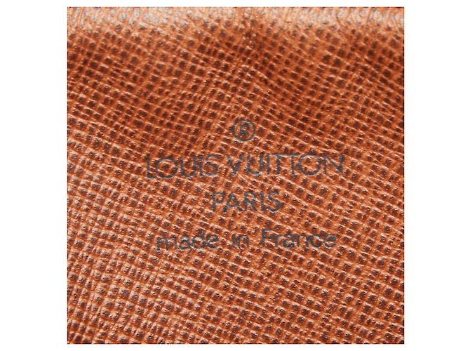 Borsa a tracolla Monogram Danube di Louis Vuitton Marrone - vista 12