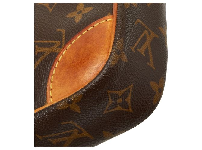 Borsa a tracolla Monogram Danube di Louis Vuitton Marrone - vista 5