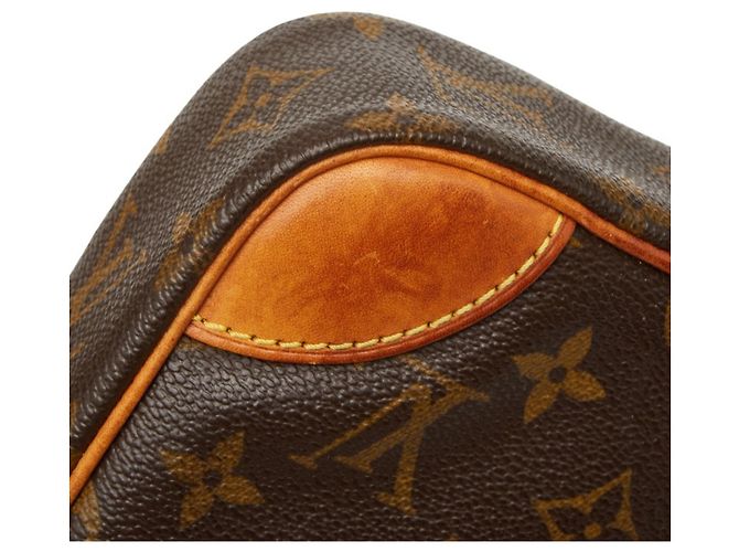 Borsa a tracolla Monogram Danube di Louis Vuitton Marrone - vista 6