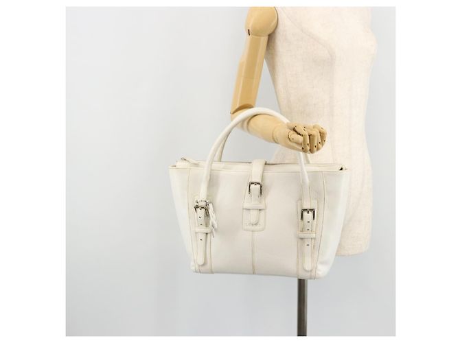 Borsa a Mano LOEWE in Pelle Bianca Argento Auth 176235 Bianco - vista 25