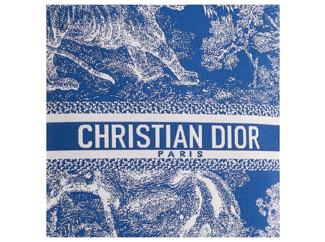 DIOR - Borsa a Spalla Dior in Toile de Jouy Blu - vista 5