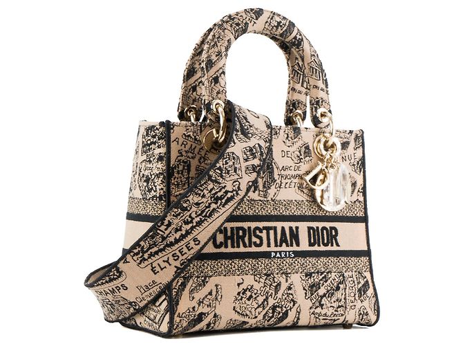 DIOR - Lady D-Lite Plan de Paris Dior Schultertasche aus braunem Canvas Limited Edition - Ansicht 2