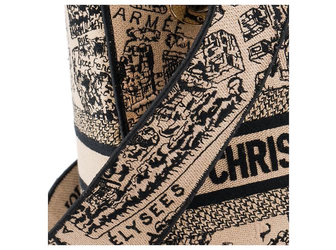DIOR - Lady D-Lite Plan de Paris Dior Schultertasche aus braunem Canvas Limited Edition - Ansicht 6