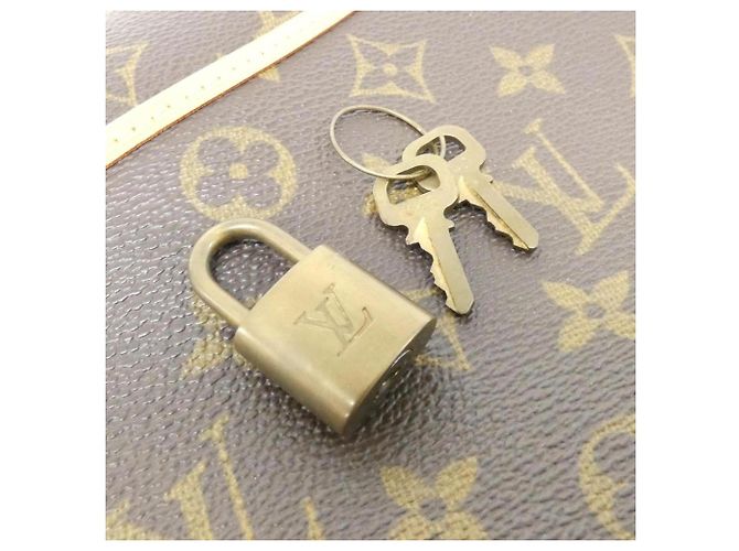Borsa a mano Bowling Vanity Monogram Louis Vuitton Marrone - vista 4