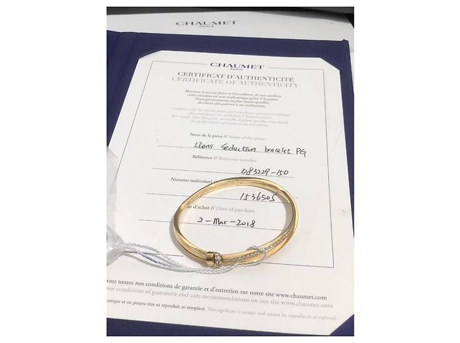 Bracciale Chaumet Soul Connection Lifelong Bond in oro rosa e diamanti D'oro - vista 2