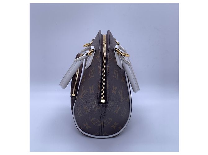 Louis Vuitton Bolso ELLIPSE de lona recubierta marrón Castaño - vista 5