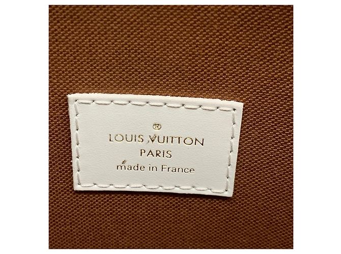 Louis Vuitton Bolso ELLIPSE de lona recubierta marrón Castaño - vista 9