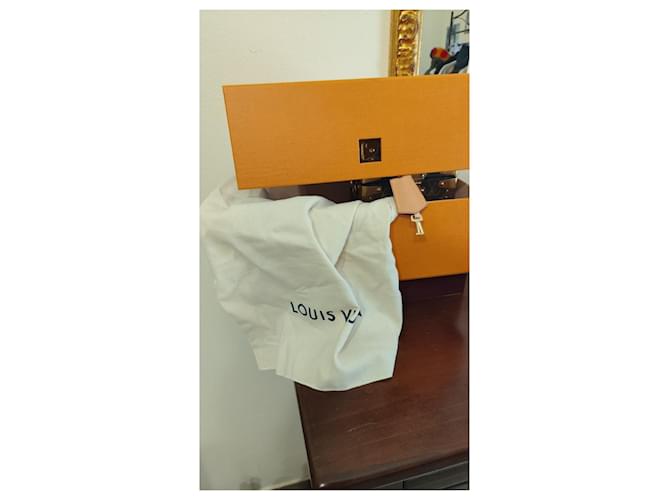 Borsa Louis Vuitton Monogram Camera Box Marrone chiaro - vista 2