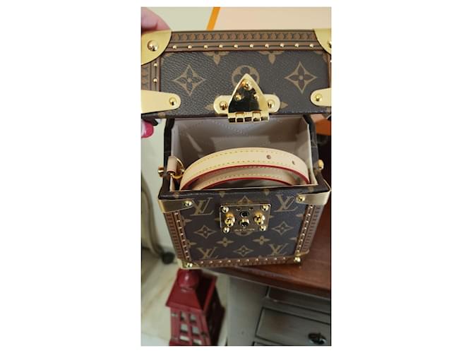 Borsa Louis Vuitton Monogram Camera Box Marrone chiaro - vista 4