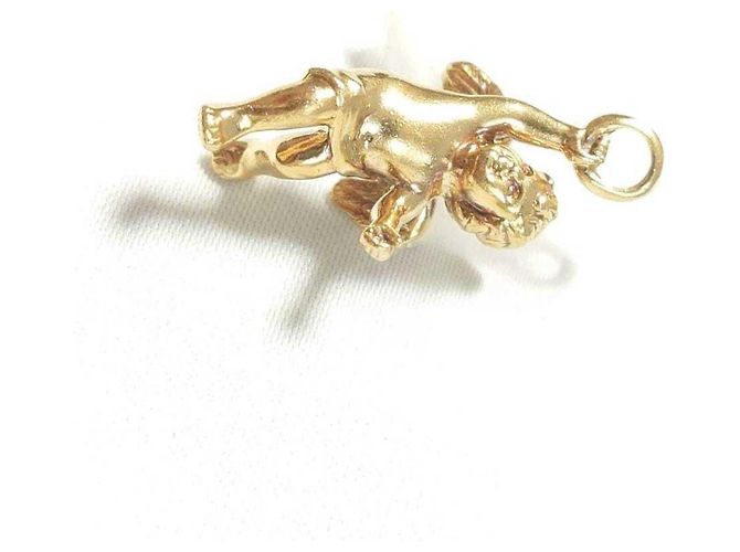 Pendente Cherubino Tiffany & Co. - vista 7
