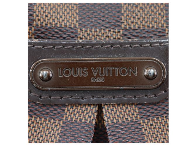 Borsa a Spalla Bloomsbury PM di Louis Vuitton Marrone - vista 6