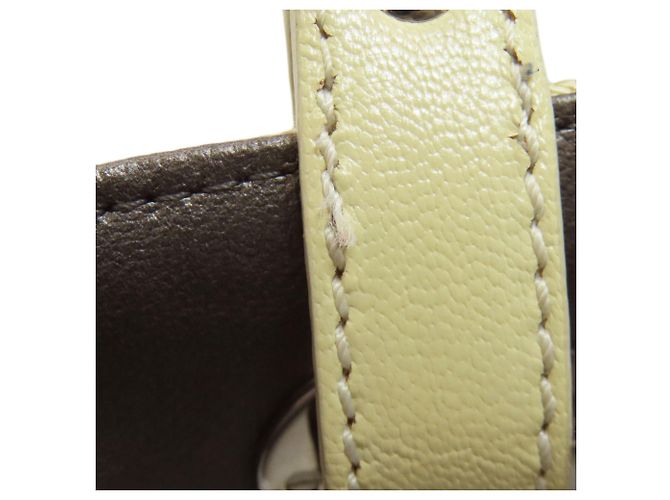 Borsa a mano Chanel Paris Biarritz PM Argento Bianco - vista 17