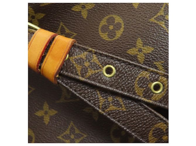 Borsa a Spalla Nile M45244 di Louis Vuitton Monogramma - vista 15