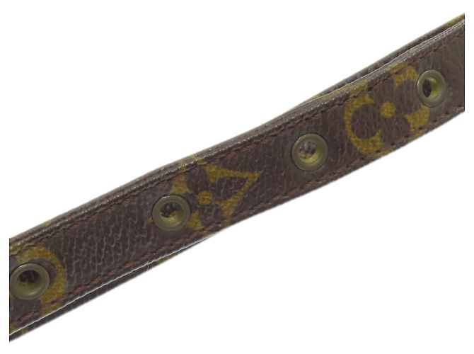 Borsa a Spalla Amazon M45236 di Louis Vuitton Marrone Monogramma - vista 15