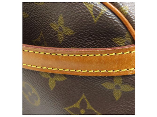 Borsa a Spalla Louis Vuitton M51221 Blois Marrone Monogramma - vista 10