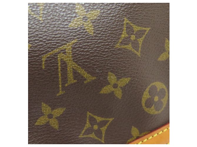 Borsa a Spalla Louis Vuitton M51221 Blois Marrone Monogramma - vista 11