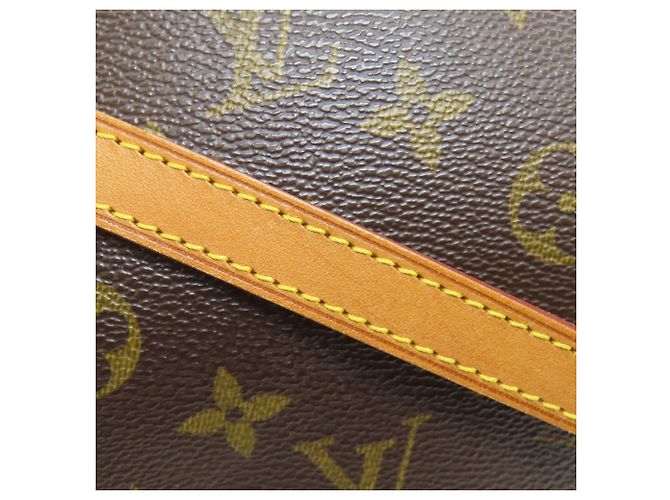 Borsa a Spalla Louis Vuitton M51221 Blois Marrone Monogramma - vista 17