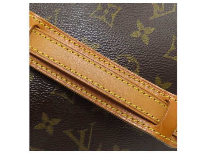 Borsa a Spalla Louis Vuitton M51221 Blois Marrone Monogramma - vista 18