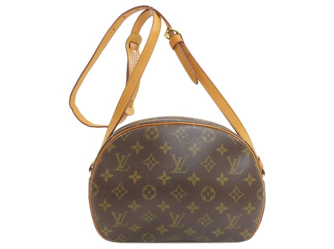 Borsa a Spalla Louis Vuitton M51221 Blois Marrone Monogramma - vista 2