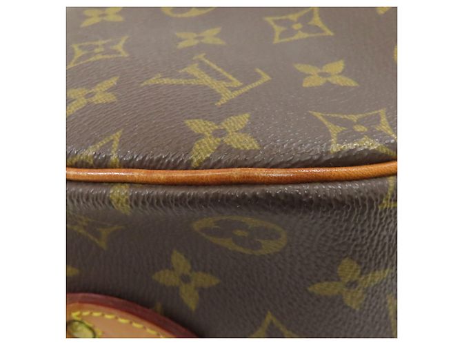 Borsa a Spalla Louis Vuitton M51221 Blois Marrone Monogramma - vista 23