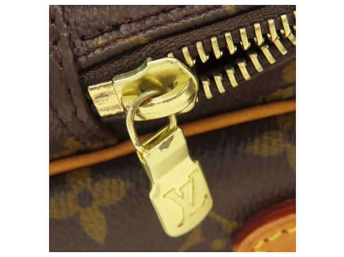 Borsa a Spalla Amazon M45236 di Louis Vuitton Monogramma - vista 12