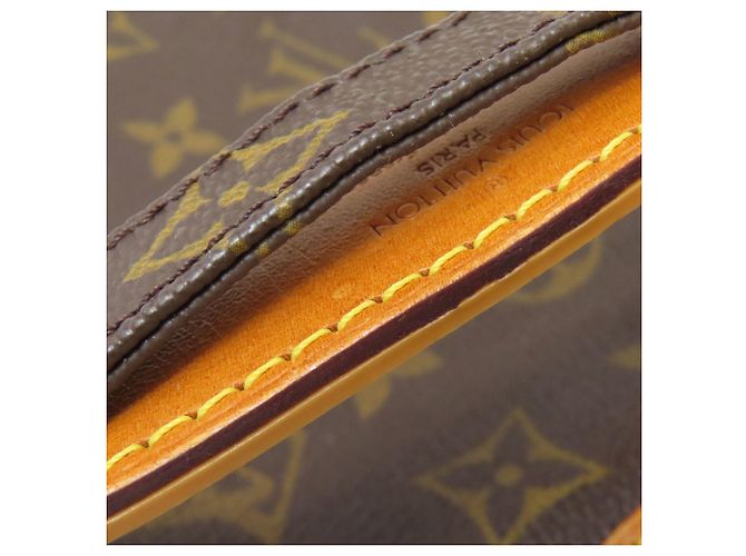 Borsa a Spalla Amazon M45236 di Louis Vuitton Monogramma - vista 20