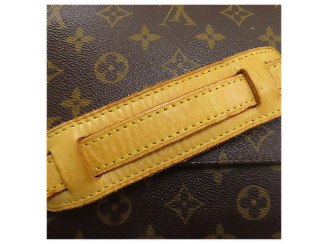 Borsa a Spalla Sologne M42250 di Louis Vuitton Marrone Monogramma - vista 19