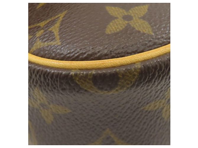 Borsa a Spalla Sologne M42250 di Louis Vuitton Marrone Monogramma - vista 24