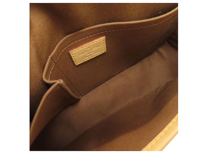 Borsa a Spalla Sologne M42250 di Louis Vuitton Marrone Monogramma - vista 5