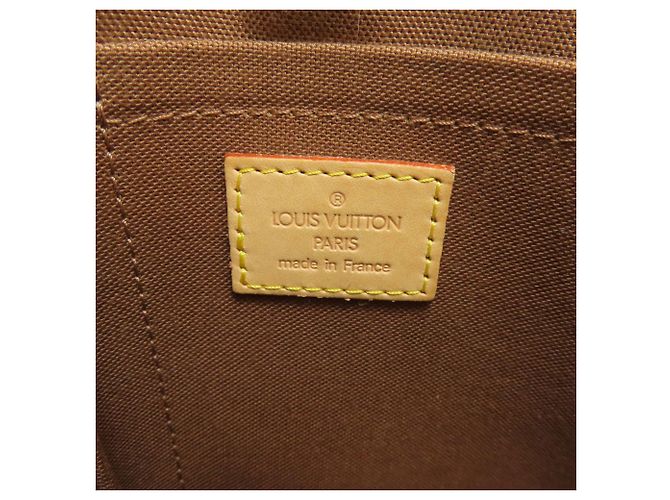 Borsa a Spalla Sologne M42250 di Louis Vuitton Marrone Monogramma - vista 6