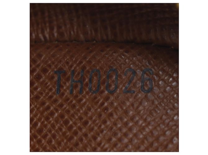 Borsa a Spalla Amazon Louis Vuitton M45236 Marrone - vista 16