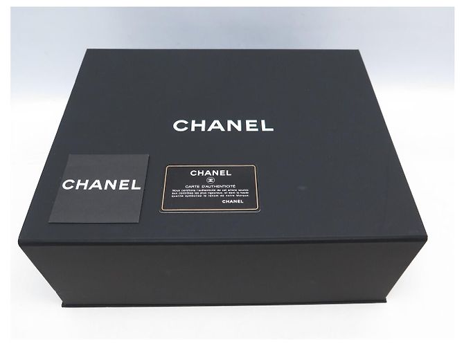 BORSA CHANEL JUMBO A FLAP SINGOLO LOGO CC RUTHENIUM BORSA CON CATENA CC Grigio antracite - vista 15