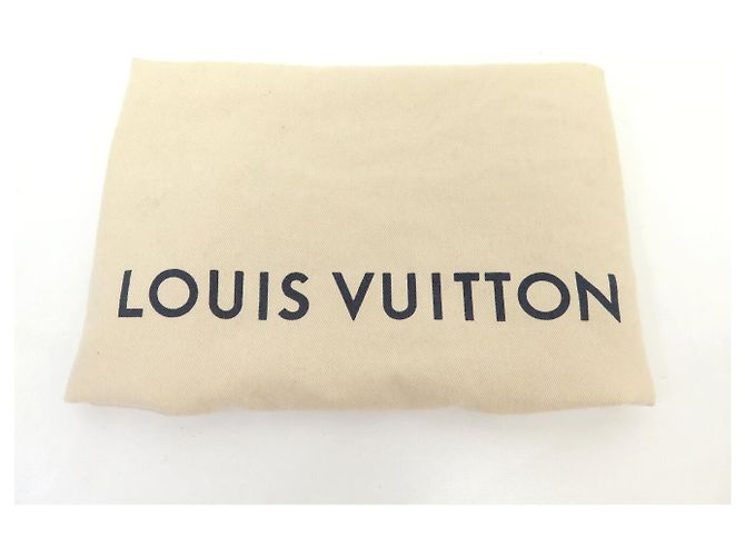 BOLSO DE MANO LOUIS VUITTON CITY STEAMER MM ANIMAL SALVAJE LEOPARDO - vista 14