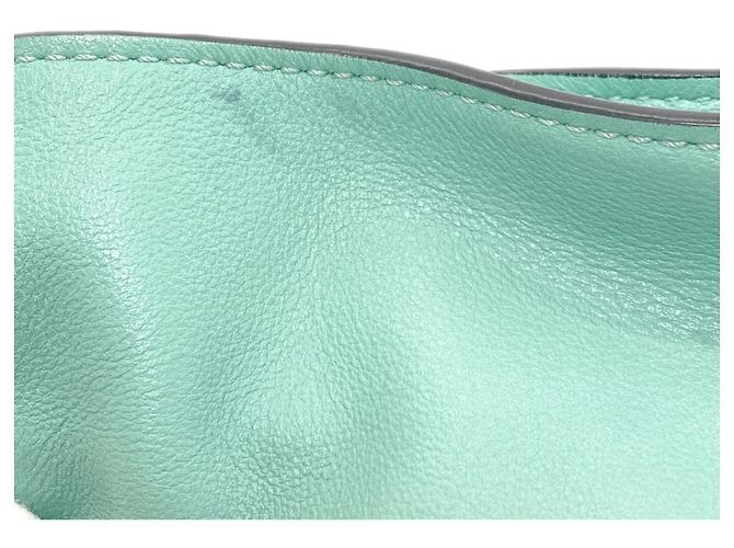 Borsa a Spalla Flamenco Loewe Verde - vista 14