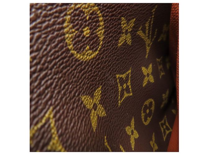 Borsa a Spalla Danube M45266 di Louis Vuitton Monogramma - vista 10