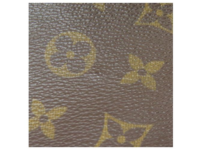 Borsa a Spalla Vivacite MM Louis Vuitton Monogramma - vista 16