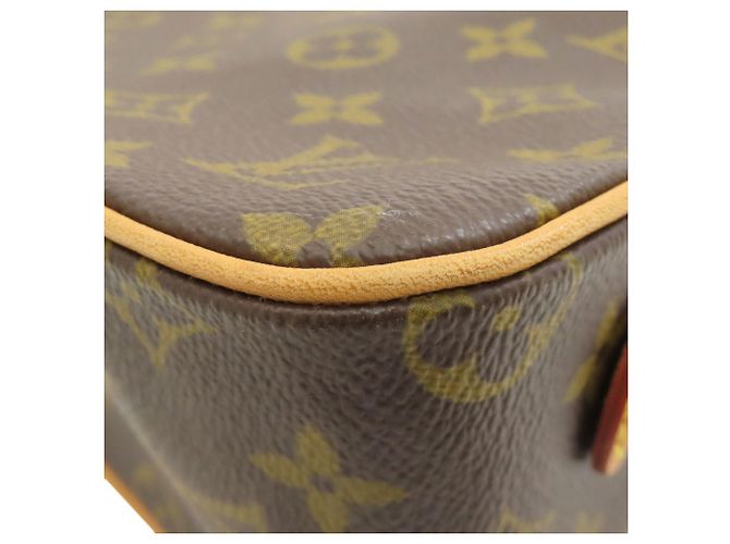 Borsa a Spalla Viva-Cite MM M51164 di Louis Vuitton Monogramma - vista 17