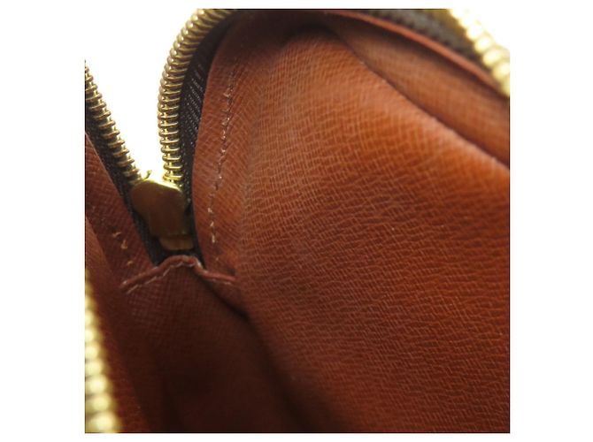 Borsa a Spalla Amazon Louis Vuitton Monogramma - vista 13
