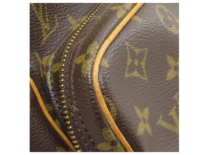 Borsa a Spalla Amazon Louis Vuitton Monogramma - vista 15