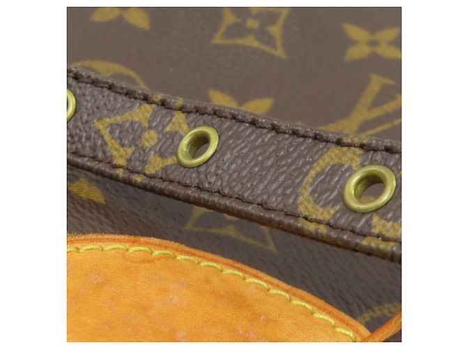 Borsa a Spalla Amazon Louis Vuitton Monogramma - vista 19