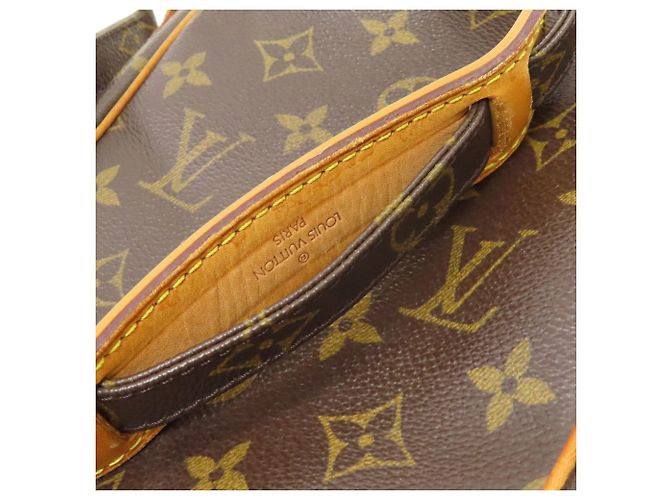Borsa a Spalla Amazon Louis Vuitton Monogramma - vista 20