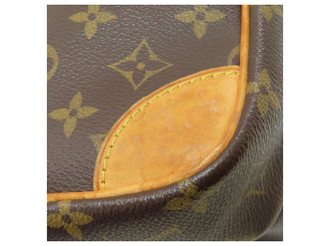 Borsa a Spalla Amazon Louis Vuitton Monogramma - vista 23