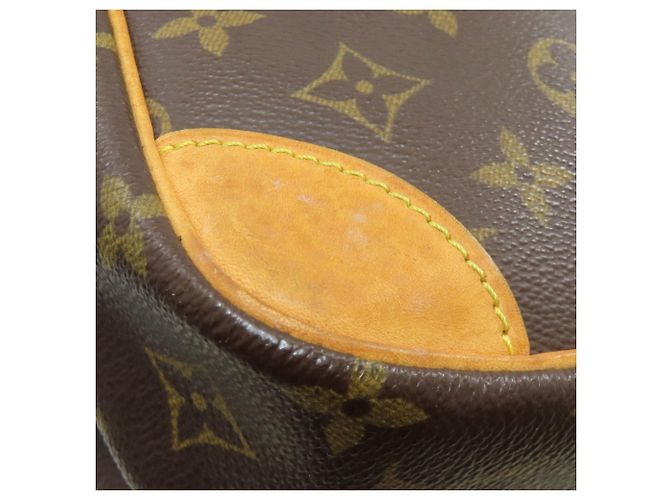 Borsa a Spalla Amazon Louis Vuitton Monogramma - vista 24