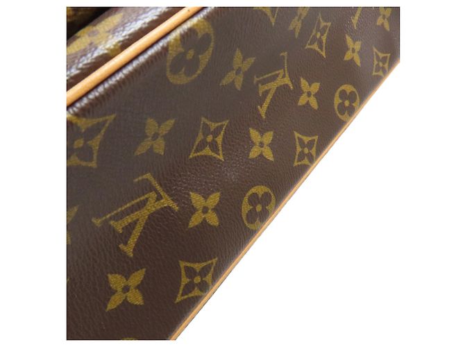 Borsa Louis Vuitton M51163 Viva-Cite GM - vista 9