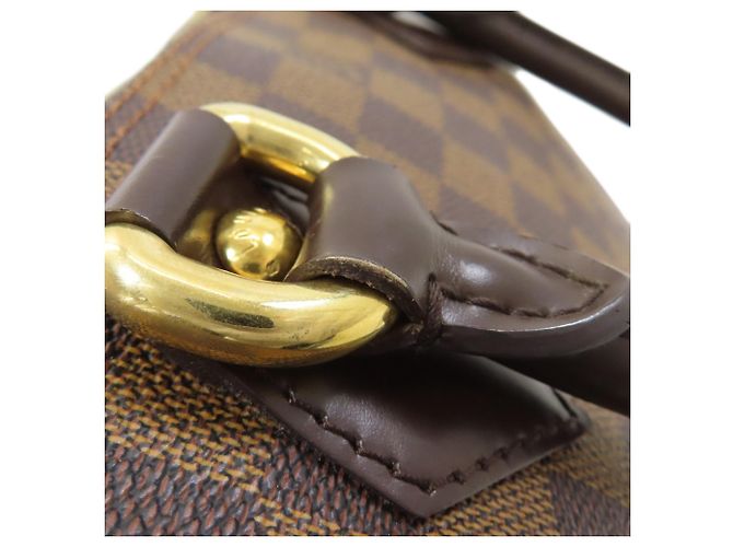 Borsa a mano Saleya PM Louis Vuitton Damier ebene - vista 14