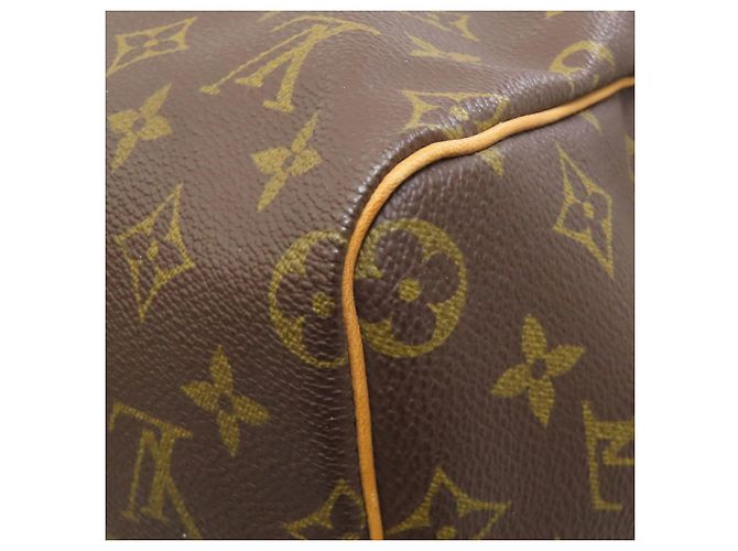 Speedy Borsa Boston Monogram Louis Vuitton Monogramma - vista 19