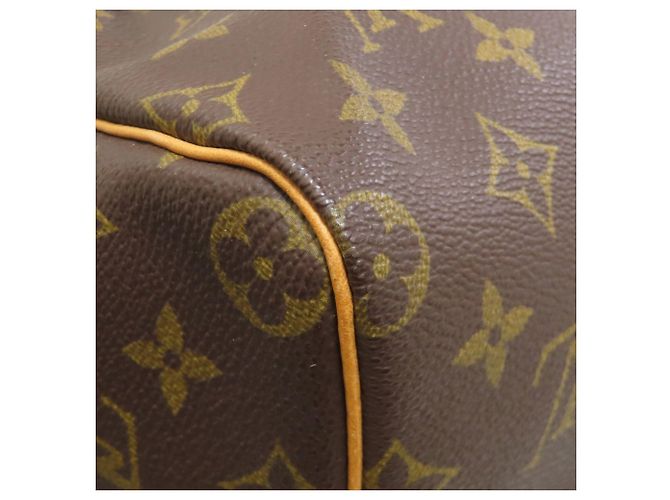 Speedy Borsa Boston Monogram Louis Vuitton Monogramma - vista 20